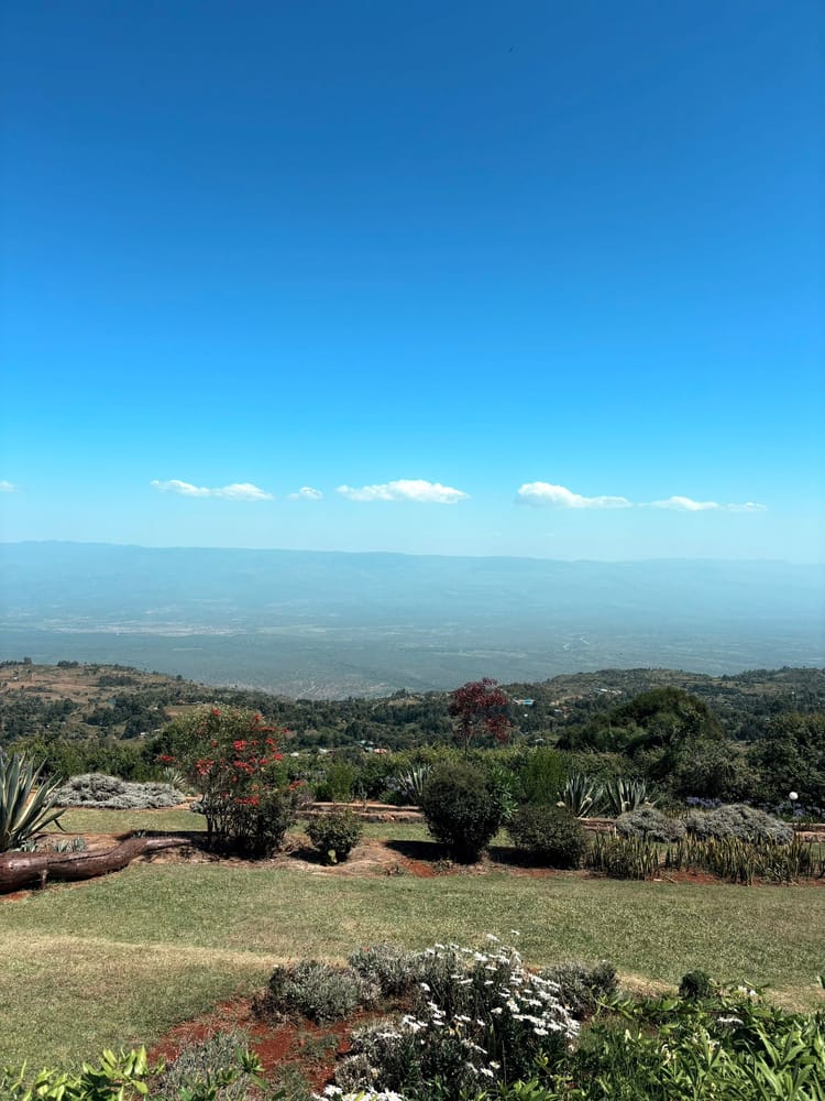 Matcha Dates und Trackabenteuer