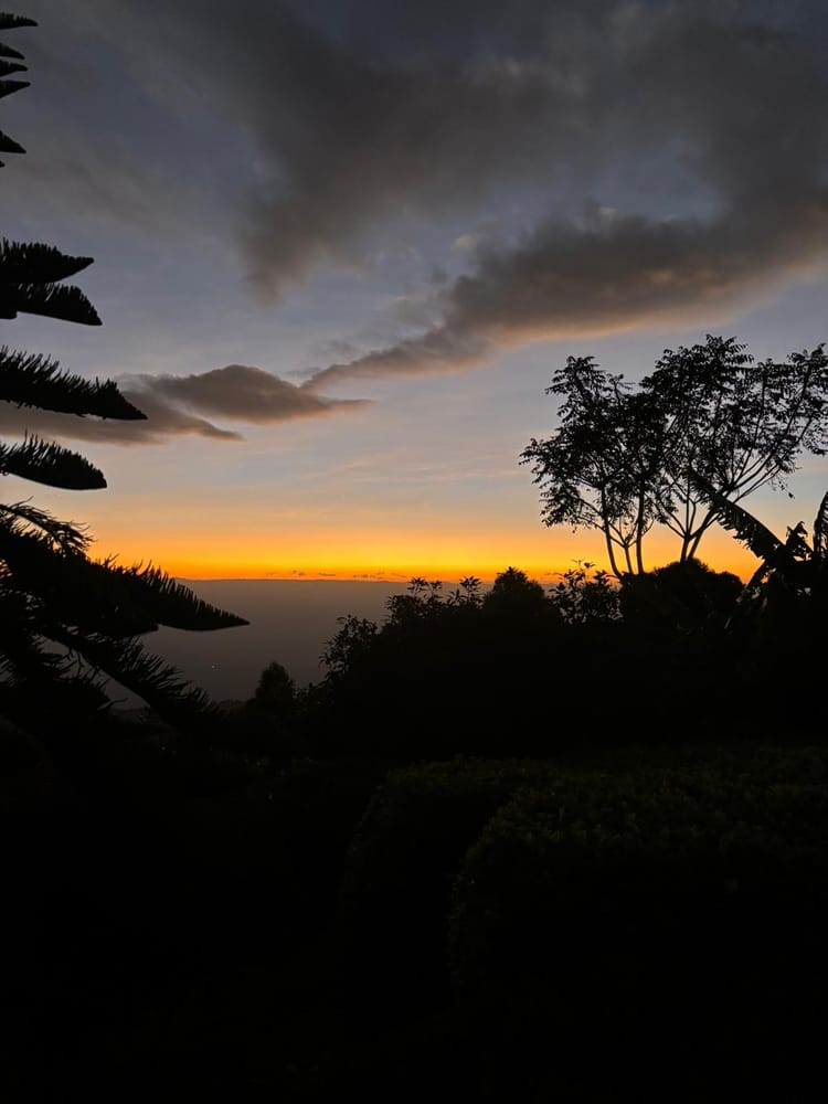 Der Abspann läuft noch...