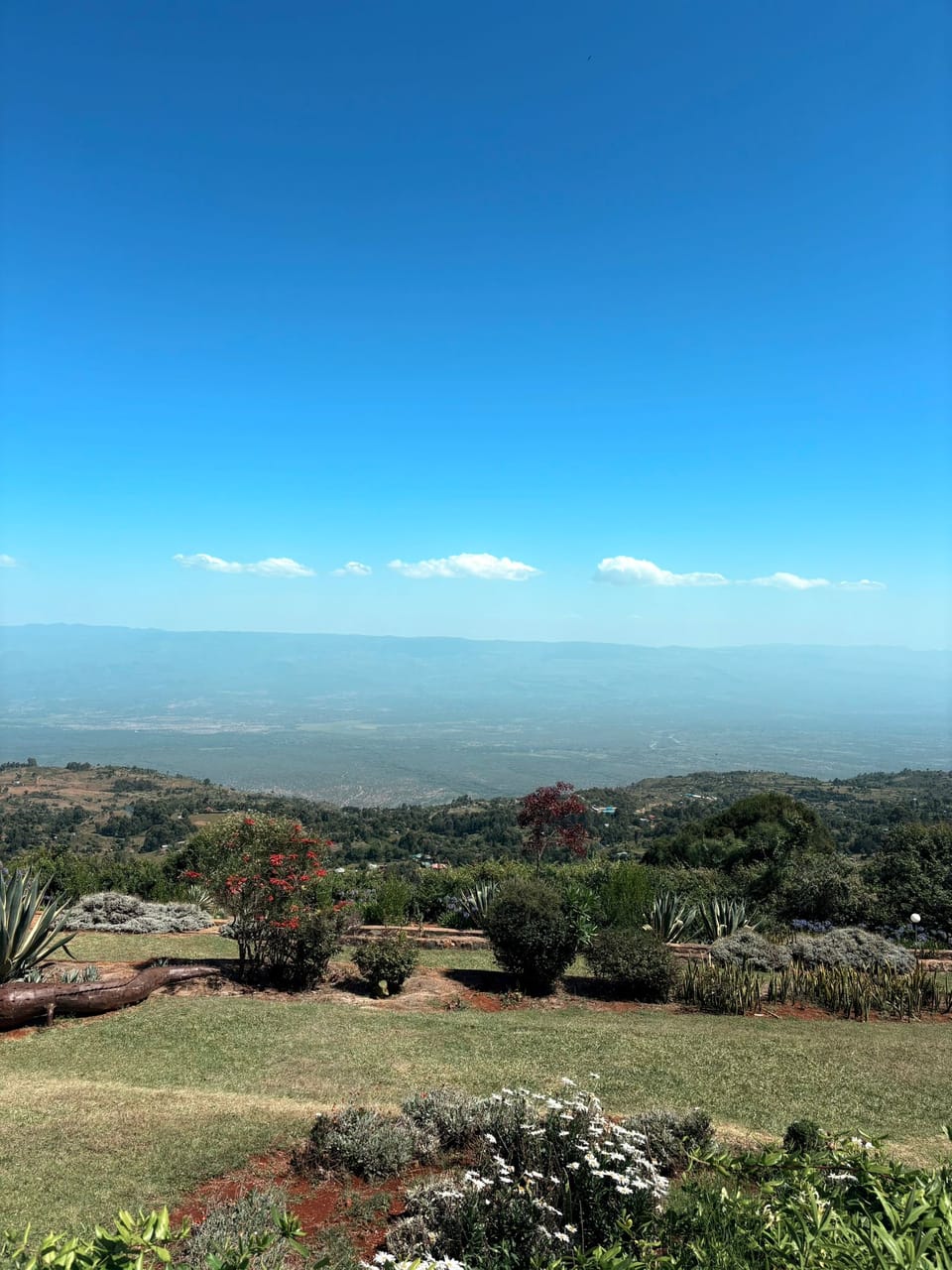 Matcha Dates und Trackabenteuer