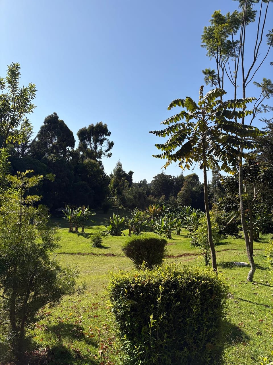 Mein neuer Alltag in Iten